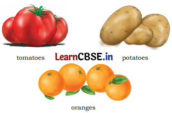 Mridang Class 1 English Solutions Chapter 6 Fun with Pictures 3