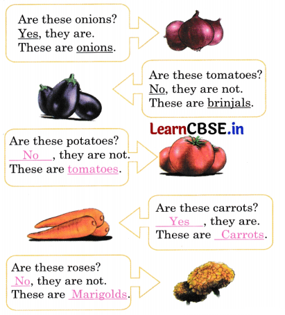 Mridang Class 1 English Solutions Chapter 6 Fun with Pictures 7