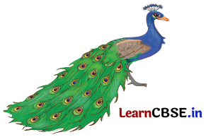 Mridang Class 2 English Solutions Chapter 10 The Crow 1