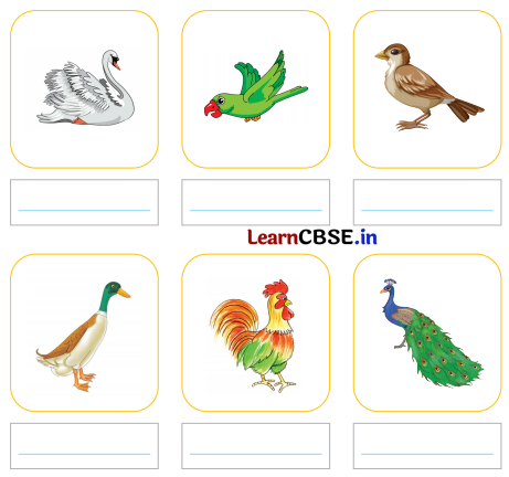 Mridang Class 2 English Solutions Chapter 10 The Crow 2