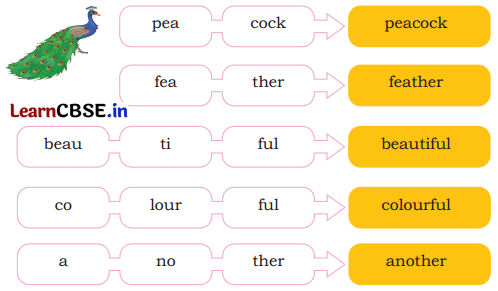 Mridang Class 2 English Solutions Chapter 10 The Crow 4