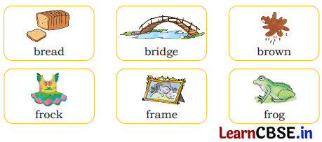 Mridang Class 2 English Solutions Chapter 13 We Are All Indians 2