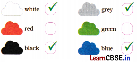 Mridang Class 2 English Solutions Chapter 8 A Show of Clouds 2