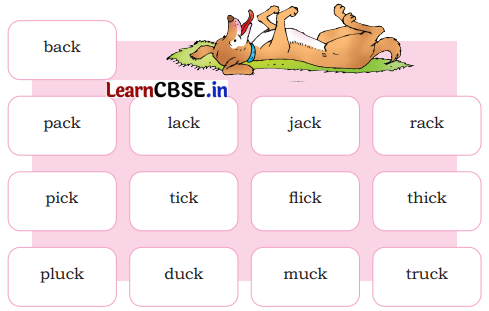Mridang Class 2 English Solutions Chapter 8 A Show of Clouds 6