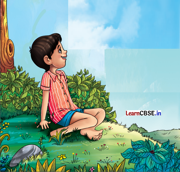 Mridang Class 2 English Solutions Chapter 8 A Show of Clouds 7