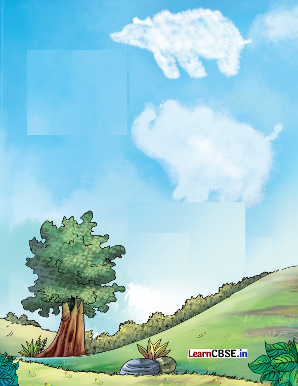 Mridang Class 2 English Solutions Chapter 8 A Show of Clouds 8