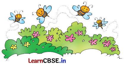 Mridang Class 2 English Solutions Chapter 9 My Name 2
