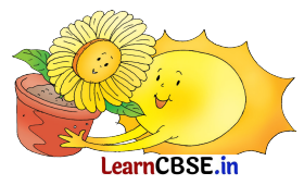 NCERT Class 3 English Santoor Chapter 10 Question Answer Night Page 106 Q2