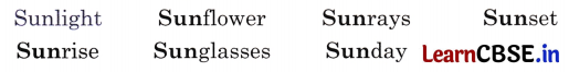 NCERT Class 3 English Santoor Chapter 10 Question Answer Night Page 108 Q2.1