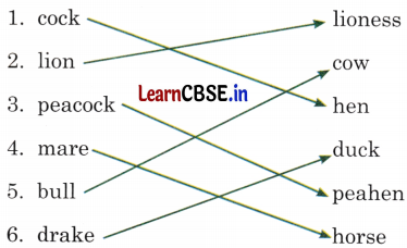 NCERT Class 3 English Santoor Chapter 7 Question Answer The Big Laddoo Page 74 Q2.1