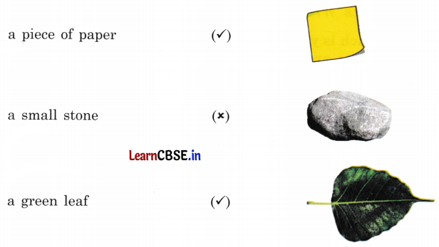 NCERT Class 3 English Santoor Chapter 7 Question Answer The Big Laddoo Page 75 Q1.1