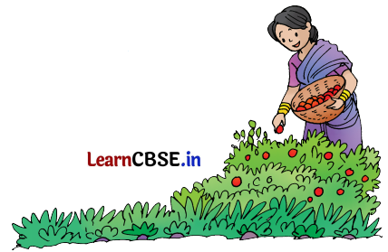 NCERT Class 3 English Santoor Chapter 8 Question Answer Thank God Page 82 Q2