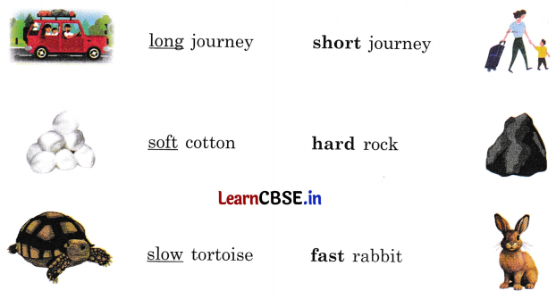 NCERT Class 3 English Santoor Chapter 8 Question Answer Thank God Page 83 Q1.2