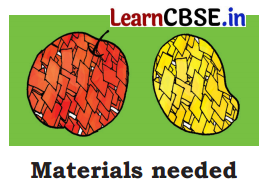 NCERT Class 3 English Santoor Chapter 9 Question Answer Madhu’s Wish Page 100 Q1