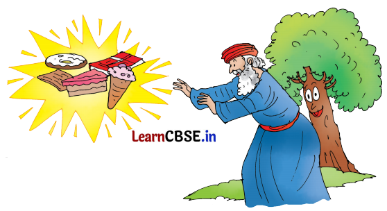 NCERT Class 3 English Santoor Chapter 9 Question Answer Madhu’s Wish Page 93 Q1