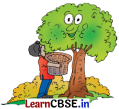 NCERT Class 3 English Santoor Chapter 9 Question Answer Madhu’s Wish Page 97 Q1