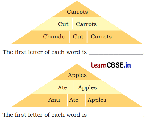 NCERT Class 3 English Santoor Chapter 9 Question Answer Madhu’s Wish Page 99 Q1