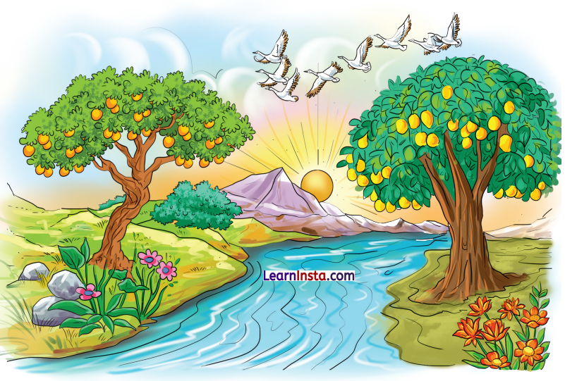 NCERT Class 3 Hindi Veena Chapter 1 Question Answer सीखो 2