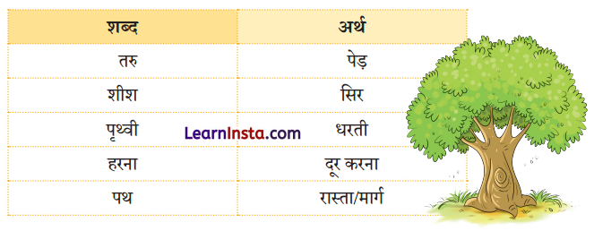 NCERT Class 3 Hindi Veena Chapter 1 Question Answer सीखो 9