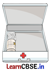 NCERT Class 3 Hindi Veena Chapter 10 Question Answer रस्साकशी 11