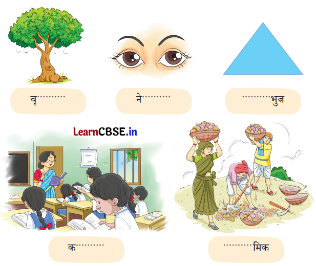 NCERT Class 3 Hindi Veena Chapter 13 Question Answer पेड़ों की अम्मा ‘थिमक्का’ 10