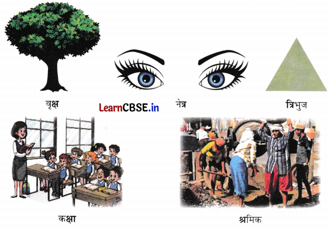 NCERT Class 3 Hindi Veena Chapter 13 Question Answer पेड़ों की अम्मा ‘थिमक्का’ 11