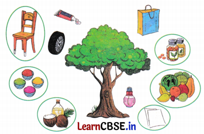 NCERT Class 3 Hindi Veena Chapter 13 Question Answer पेड़ों की अम्मा ‘थिमक्का’ 15