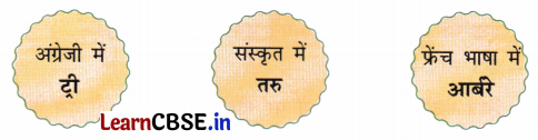 NCERT Class 3 Hindi Veena Chapter 13 Question Answer पेड़ों की अम्मा ‘थिमक्का’ 8