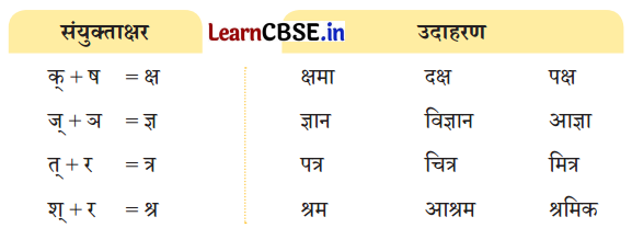 NCERT Class 3 Hindi Veena Chapter 13 Question Answer पेड़ों की अम्मा ‘थिमक्का’ 9
