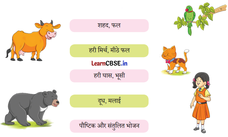 NCERT Class 3 Hindi Veena Chapter 14 Question Answer किसान की होशियारी 9