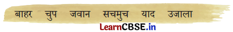NCERT Class 3 Hindi Veena Chapter 17 Question Answer बोलने वाली माँद 9