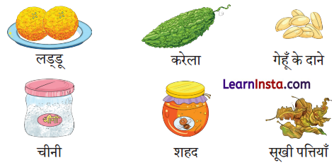 NCERT Class 3 Hindi Veena Chapter 2 Question Answer चींटी 1