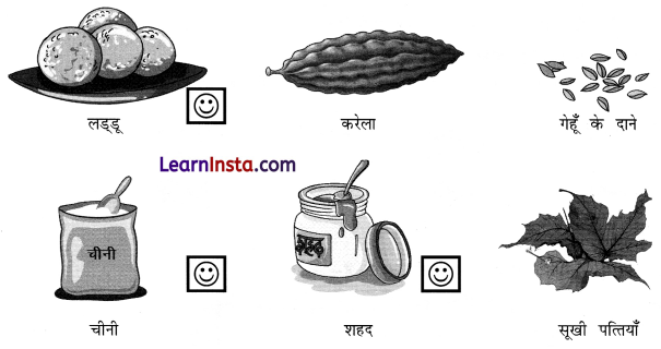 NCERT Class 3 Hindi Veena Chapter 2 Question Answer चींटी 2