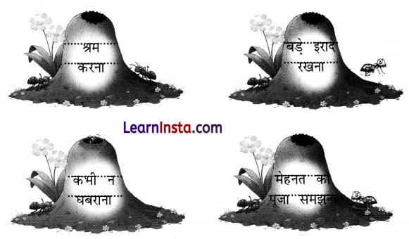 NCERT Class 3 Hindi Veena Chapter 2 Question Answer चींटी 4