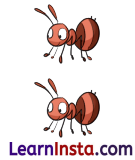 NCERT Class 3 Hindi Veena Chapter 2 Question Answer चींटी 7