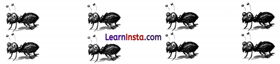 NCERT Class 3 Hindi Veena Chapter 2 Question Answer चींटी 8