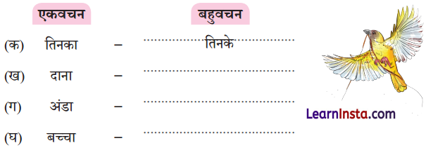 NCERT Class 3 Hindi Veena Chapter 4 Question Answer बया हमारी चिड़िया रानी! 11