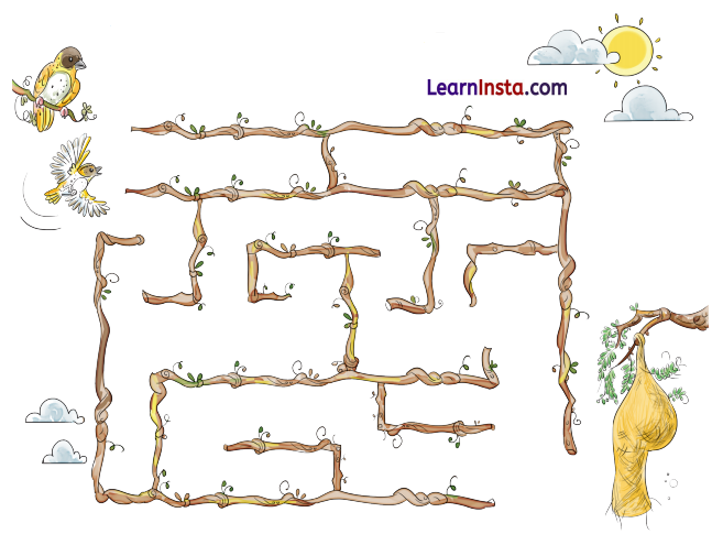 NCERT Class 3 Hindi Veena Chapter 4 Question Answer बया हमारी चिड़िया रानी! 16