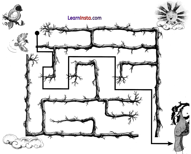 NCERT Class 3 Hindi Veena Chapter 4 Question Answer बया हमारी चिड़िया रानी! 17