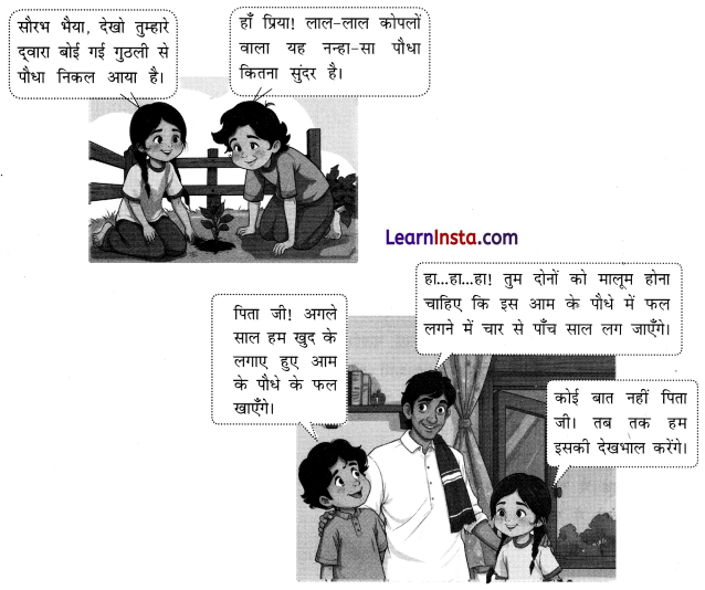 NCERT Class 3 Hindi Veena Chapter 5 Question Answer आम का पेड़ 3