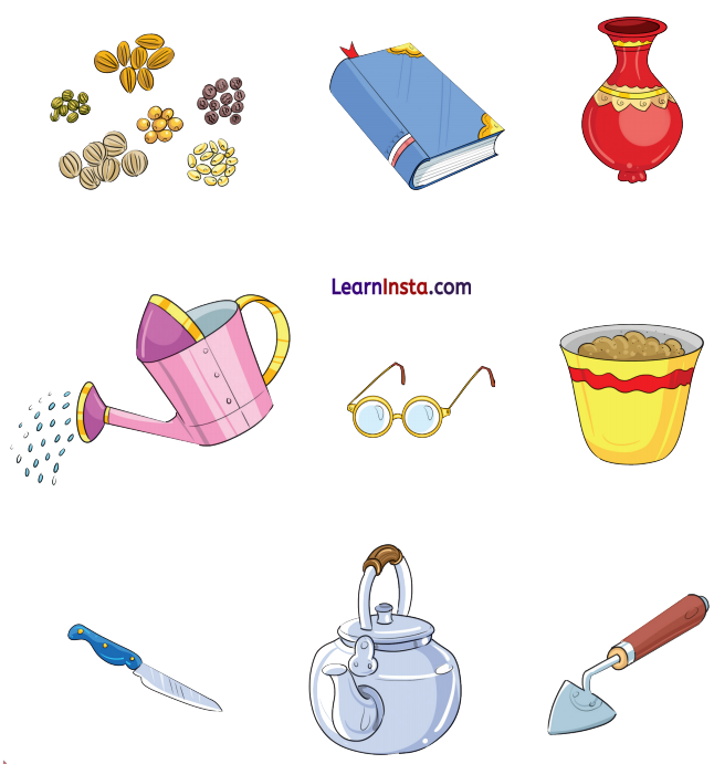 NCERT Class 3 Hindi Veena Chapter 5 Question Answer आम का पेड़ 4