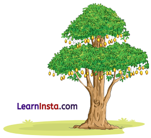 NCERT Class 3 Hindi Veena Chapter 6 Question Answer बीरबल की खिचड़ी 8