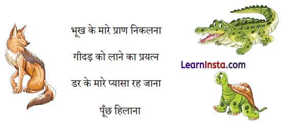 NCERT Class 3 Hindi Veena Chapter 8 Question Answer चतुर गीदड़ 1