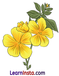 NCERT Class 3 Hindi Veena Chapter 9 Question Answer प्रकृति पर्व – फूलदेई 10