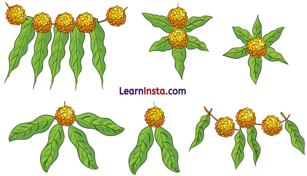 NCERT Class 3 Hindi Veena Chapter 9 Question Answer प्रकृति पर्व – फूलदेई 6