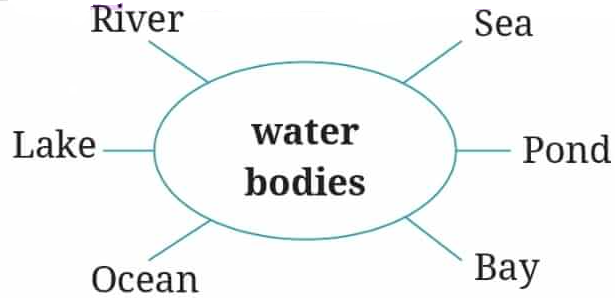 NCERT Class 6 English Poorvi Chapter 11 Question Answer The Winner Page 118 Q2.1