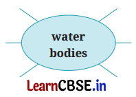 NCERT Class 6 English Poorvi Chapter 11 Question Answer The Winner Page 118 Q2