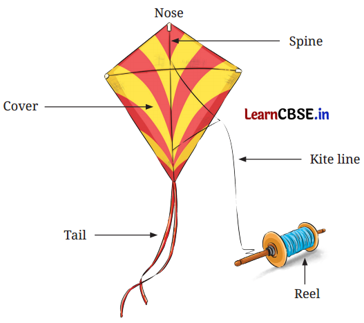 NCERT Class 6 English Poorvi Chapter 14 Question Answer The Kites Page 146 Q1