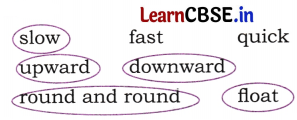 NCERT Class 6 English Poorvi Chapter 14 Question Answer The Kites Page 146 Q3.2