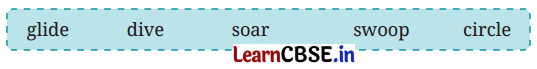 NCERT Class 6 English Poorvi Chapter 14 Question Answer The Kites Page 146 Q3